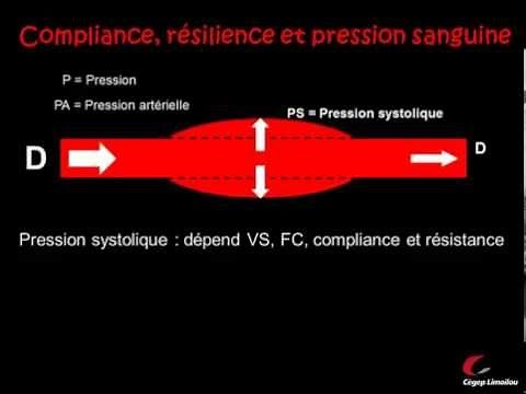 Blood circulation and blood pressure