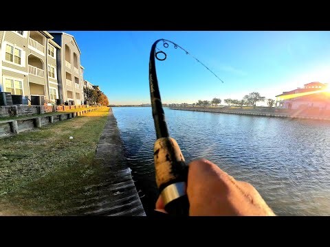 After Years of Wondering… I Finally Fished This Hidden Spot