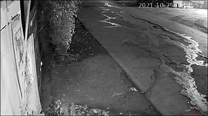 EXCLUSIVE: CCTV FOOTAGE NGA KUHA SANG RADYO BANDERA ILOILO MAKIT-AN ANG PAGLABAY SANG SALAKYAN NI CLAIRE DIERGOS! Sa kopya sang CCTV nga nakuha sang Radyo Bandera Iloilo 4:56am sang Oktubre 25 nakit-an ang paglabay sang Montero Sports nga salakyan ni Claire Diergos. Nag hazard ini nga kasubong nga may ginahulat makita ang naga blink-blink nga suga sang Montero. Sa pila lang gid ka minutos may nag abot nga isa ka salakyan nga daw kasubong nga isa ka Pajero. Padulong ang mga salakyan sa atubang sa