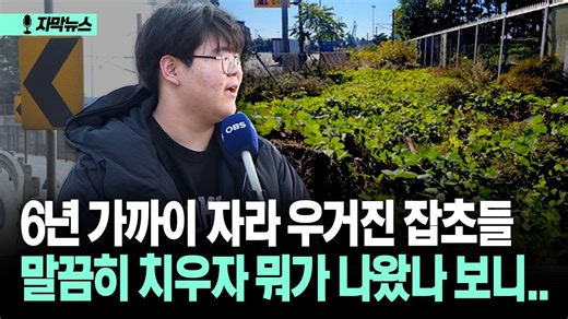 [자막뉴스] 6년 가까이 자라 우거진 잡초들... 말끔히 치우자 뭐가 나왔나 보니