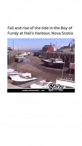 Ever seen the ocean breathe? This stunning time-lapse from the Bay of Fundy shows the world’s highest tides rising and falling every 6 hrs 12.5 mins – like the sea itself is alive! Nature’s rhythm is wild! Would you dare to swim here during low tide? Credit: Leo de Groot All rights reserved. #BayOfFundy #TidalWaves #OceanLovers #NatureIsAwesome #SeaMagic #TimelapseMagic #HighTideVibes #ScienceInMotion #SeaBreeze #TidalBeauty #ExploreNature #FunFactTime | physics_memz