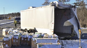 All 100 Lab Monkeys Accounted for After Several Escape Crash