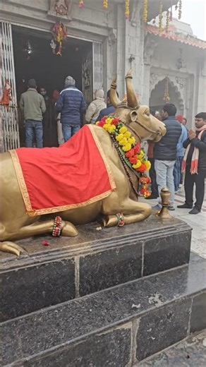 Maha mrityunjay mantra #shiv #harharmahadev #puja