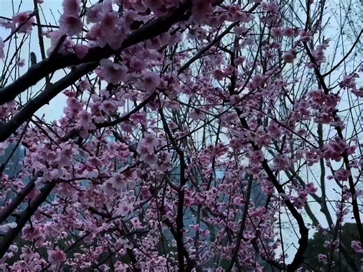 Understanding Feelings of Abandonment