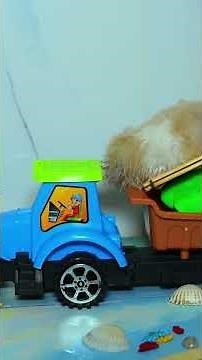 🐹 Building the Cutest Hamster House Ever! 🏡 #Shorts