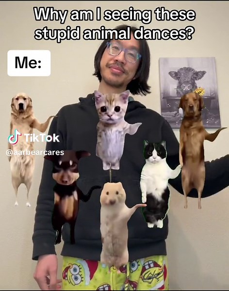 Funny Dog and Cat Dancing Videos | Hilarious TikTok Animal Memes