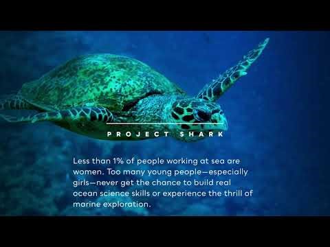 Project SHARK: An Explorers in Training Program