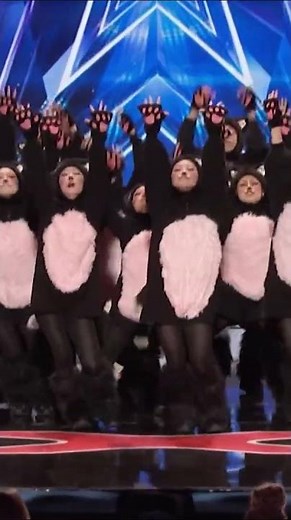 Line Dancing Cats TAKE OVER AGT Stage! Loco Pop Familia Audition