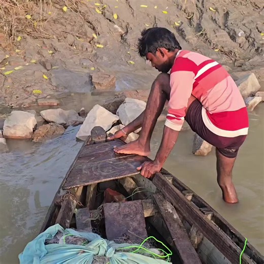 Fish hunting 2 on Instagram: "जाल से नदी में बाम मछली का शिकार कैसे करना चाहिए #fishhunting2 #fishing #Netfishing #Baamfishing"