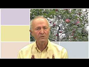 Understanding intellectual property - 1. An overview