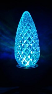 Special buy this year is a 5 color changing bulb. | Christmas Lights, Inc. | Facebook