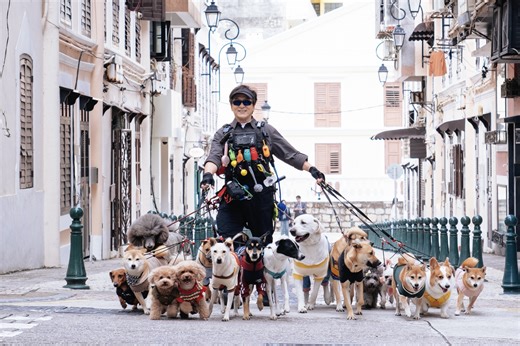 Jackie Chan trở lại trong The Shadow’s Edge, công chiếu vào ngày 3 tháng 12