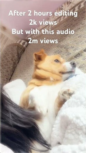 #viral #music