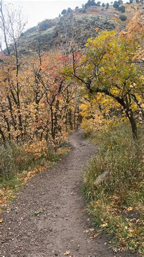 11 reactions · 6 comments | Golden Millcreek • Pipeline Trail (Burch...