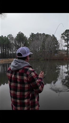 Catching a Tree Pounder!