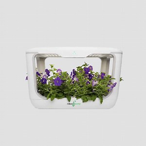 GrowMe Hydroponics Kit By IndoorGreens - Ecoponics Singapore