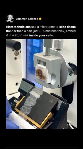 This Is How the Inside of Tissue Is Seen #shorts