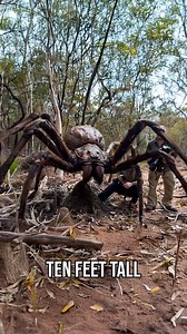 57K views · 674 reactions | Horrifying Creatures That Even Scientists Are Scared Of #creatures #science | Most Amazing Top 10 | Facebook