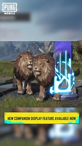 How many cute companions have you redeemed so far? We bring a brand new companion display feature in the new version. Bring your cute companion and charm the crowd!Download PUBG MOBILE NOW: https://pubgmobile.live/C6S18Classic#PUBGMOBILE#PUBGMOBILEC6S18 | PUBG MOBILE