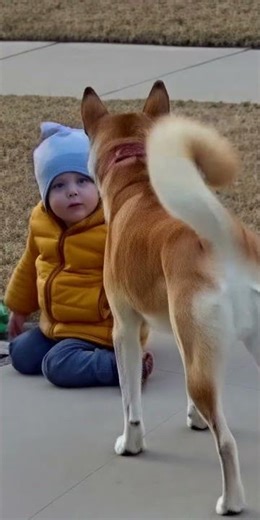 Hero Dog Saves Toddler from Street! 🐶❤️ Realistic CCTV Rescue | AI Spectrix #shortvideo #shorts #ai