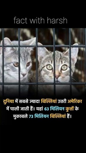 बिल्ली के बारे में अजीब सा फैक्ट#factwithharsh #viralfact