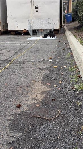 3.7K views · 37 reactions | Starting off the year right. These two...