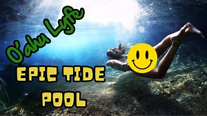 We Found the Most Epic Tide Pool — You Have to See This!