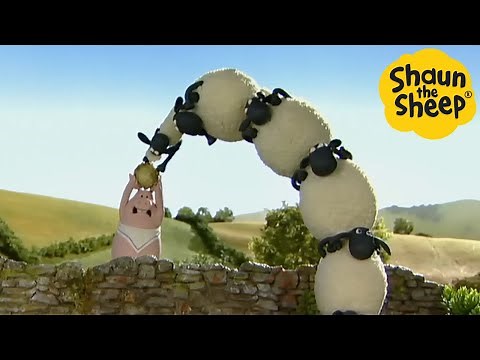 Shaun the Sheep 🐑 Leaning Tower of SHEEP - Cartoons for Kids 🐑 Full Episodes Compilation [1 hour]