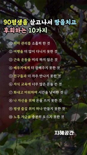90평생을 살고나서 땅을치고 후회하는 10가지 #노년의지혜 #인생무상 #인생후회