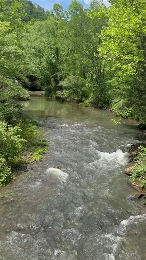 🦆Hillbilly❌ (@musicman4230)’s videos with You Ain't Just Whistlin' Dixie - The Bellamy Brothers