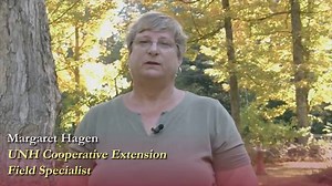 Grub Control [video]