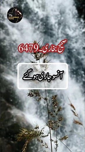 Hadees Sharif 😭💕😭 | Best Hadees | Hadees Mubarak | Hadees Nabvi | Hadith Of Prophet Muhammad #shorts