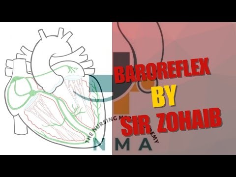 Baroreflex/Baroreceptor Reflex by Sir Zohaib | NMA (The Nursing Merit Academy)