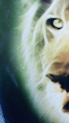 i Am Single (@d.star......single)’s videos with original sound - D-star -----D-star - i Am Single