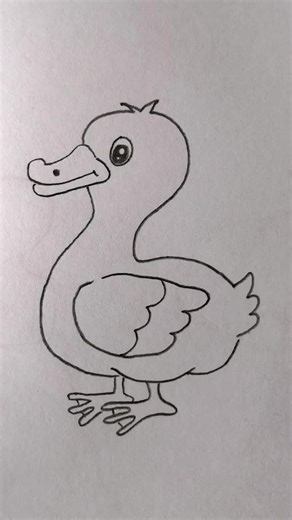 How to Draw a Baby Duck with a Lead Pencil