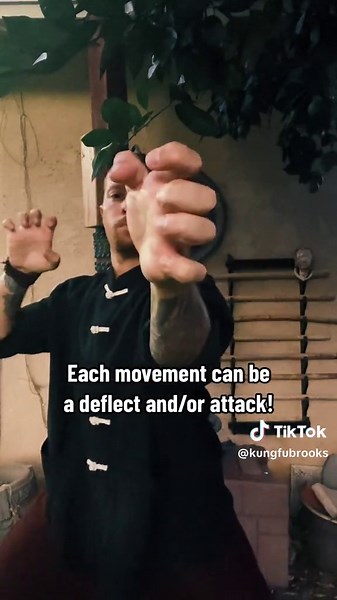 One of my favorite moves from the Black Tiger System! #kungfu #kungfubrooks #tigerstyle #blacktiger #tigerfist #blacktigerkungfu #shantungblacktiger #tigerkungfu #martialarts #whirlingpalm #shaolin #shaolinkungfu #selfdefense #selfdefenseonline #learnkungfuonline #kungfuonline #shaolinonline