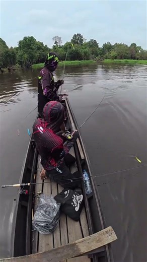 Strike ikan babon jablay anjay