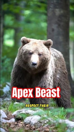 Grizzlies: The Untouchable Apex Predators #shorts #wildlife #grizzlies #amazingfacts