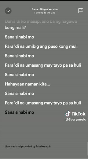 Sana sinabi mo💔-I belong to the zoo #spotify #fullsong #music #lyrics #fyp