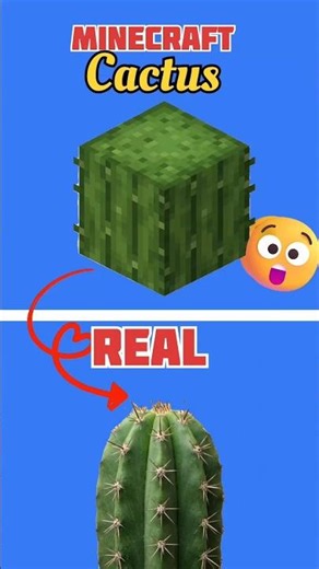 Minecraft Vs Real life things ep5 #3d #3danimation #shorts #minecraft