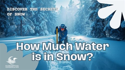 Why We Measure Snow Depth and Snow Water Equivalent and Why It Matters | Kawartha Conservation