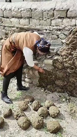 Plateau Cow Dung Natura
