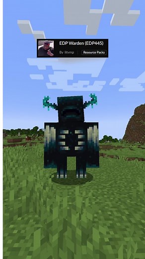 Top Minecraft Texture Packs! | PT2 #minecraft #minecraftmods #minecraftjava #moddedminecraft #minecrafttutorial #fyp #minecrafttexturepack