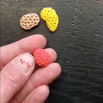 Easy Clay Ocean Coral Tutorials Part 1 of 5, Base Corals #clayshorts #clayart
