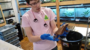 7.3K views · 189 reactions | HAPPY 25 DAYS OF FROGMAS! Smooth Sided...