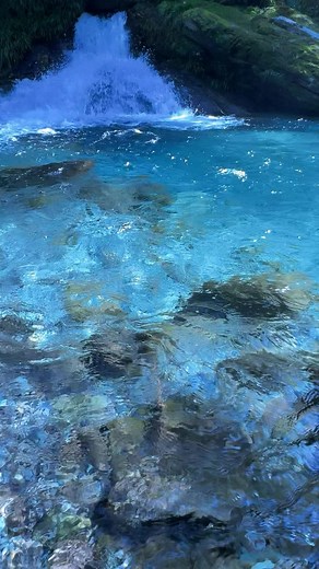 この素晴らしい川に祝福を！