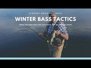 Winter Bass Fly Fishing Tactics