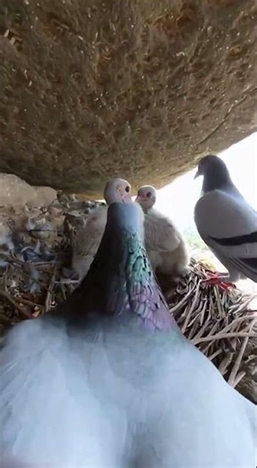 Aise view dekha hai kbhi #viralvideo #fyp #fypage #funny #ai #aiviral #aivideo #viralshort #viral