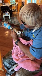 Jimmy Houston Outdoors on Reels