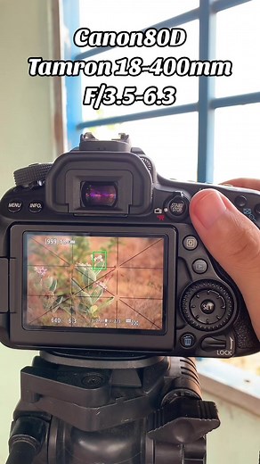 Canon 80D Camera Settings and Photography Tips